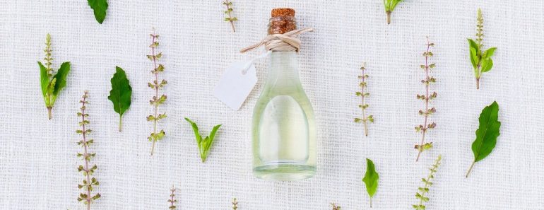 Quelle est la meilleure huile végétale cicatrisante ? Quelle est la meilleure huile végétale cicatrisante ?