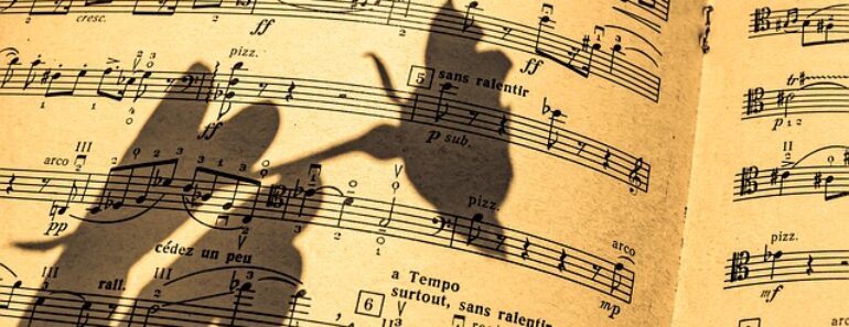 Steel tongue drum : une expérience musicale unique ! Steel tongue drum : une expérience musicale unique !