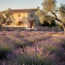 Provence : l&rsquo;inspiration beauté du sud